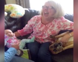 Jealous Dog Determined To Keep Grandma’s Attention Stops At Nothing To Prevent Her From Holding Baby
