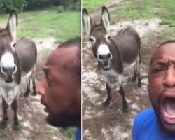Donkey Hilariously Joins His Human In Singing ‘Lion King’ Song