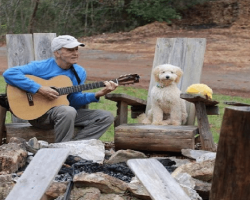 This Dog-Dedicated Campground Exclusively Caters To Dogs and Their Human Companions