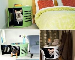 7 Unique, Strange and Luxurious Dog Houses That Make You Go Hmmmm…