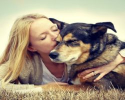 20 Things All Dog Owners Must Never Forget. The Last One Brought Tears To My Eyes…