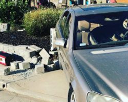 Impatient Dog Left In Car Alone Takes The Vehicle For A Spin