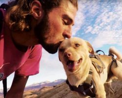 Fearless Rescue Dog Jumps Off Cliffs With His Dad