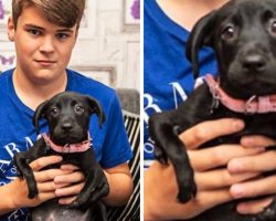 Puppy Born With 6 Legs Adopted By Boy Who Knows Bullying All Too Well