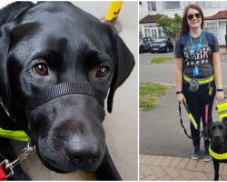 22-Year-Old Blind Woman Was Told To Take Her Guide Dog Off The ‘F***ing Bus’