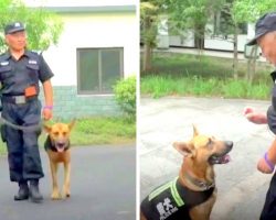 Cop Sees Retired K9 Dogs Living In Pure Misery, So He Builds Them A Cozy Home