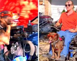 Paralyzed Man Humiliated As McDonald’s Kicks Him Out Due To “Smelly” Service Dog