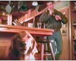 Budweiser Commercial Starring a Talking Dog Comically Explains Why He Gives Owner Beer