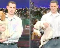 Dad Brings Beagle On The David Letterman Show And Asked Him To “Play Dead”