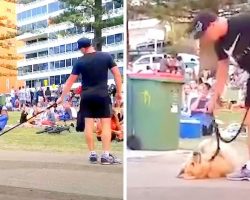 Dog Didn’t Want To Go Home From The Park And Played Dead As Crowd “Cheers Him On”