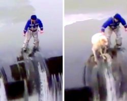 Brave Man Disregards His Own Safety & Climbs Down A Slippery Dam To Rescue Dog