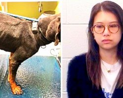 Student Locks Dog In A Cage & Starves Him For Months Despite Repeated Warnings