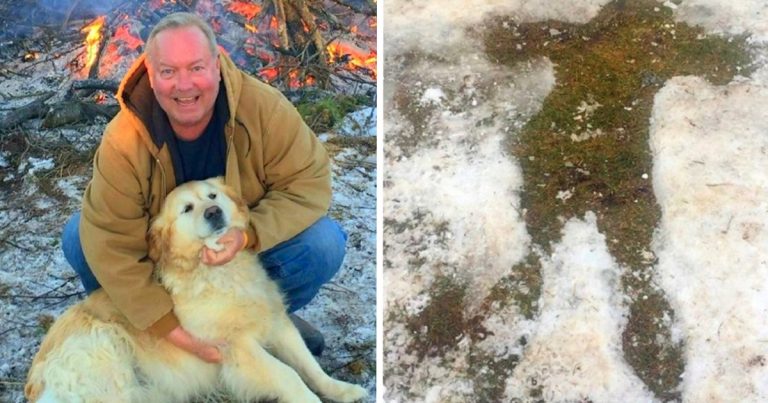 Golden Retriever Hailed A Hero Dog For Saving Owner From Freezing To Death