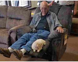 Grandpa Brings His Dog To Furniture Store To Make Sure She Liked The Chair Too