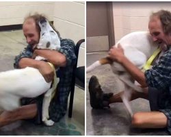 Homeless Man Loses Beloved Dog & Dog Goes Berserk When They Find Each Other