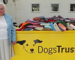 89-Year-Old Woman Knitted 450 Coats And Blankets For Shelter Dogs