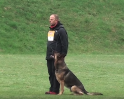 German Shepherd And Owner Displays Incredible Routine