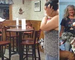 Angry Lady Screams At Veteran For Bringing Service Dog Into Restaurant And Video Sparked Outrage