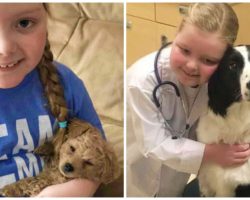 8-Year-Old Terminally Ill Dog Lover That Inspired Thousands Passed Away