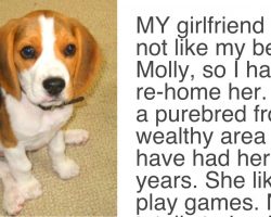 Girlfriend Gives Partner An Ultimatum, Demands Either The Dog Goes Or She Goes