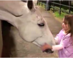 4-Yr-Old Tries To Calm Horse – Mom Films As She Gives The Horse A Hug And A Kiss