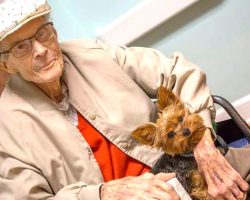 Hospice Program Helps Terminally Ill Patients Keep Their Beloved Pets Until The Very End