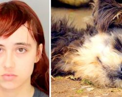 Teen Beheads Grandma’s Dog, Hides Dog’s Head In Dresser & Stuffs Heart In Freezer