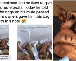 Mailman Befriends Shy Dog On Route, Left Heartbroken When Owners Give Him A “Sweet Note” From His Special Friend