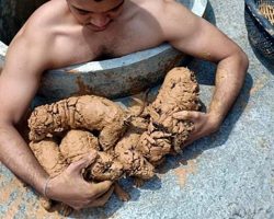 Man Rescues Muddy Puppies From A Well And Then He Washed The Mud Away
