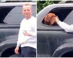 Man Vigorously Slaps Dog In Face & “Laughs”, Police Need Help Tracking Him Down