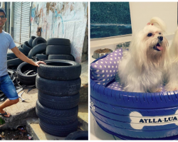 Man Transformed Old Tires Into “Cozy” Little Dog Beds For Animals