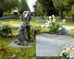 New State Law Allows Pets To Be Buried Alongside Their Humans At Cemeteries
