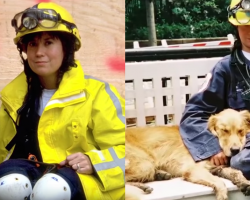 Remembering The Legacy Of The Last 9/11 Hero Dog
