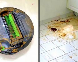 Roomba Tries Cleaning Dog Poop And Makes An Epic Mess, Now Dad Has To Clean Up