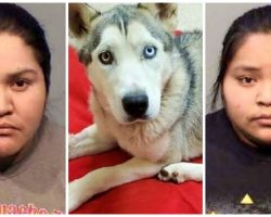 Women Lock Dog In Kennel For Days, Use Bolt Cutters & Nearly Amputate His Leg