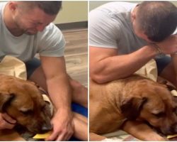 NFL Quarterback Tim Tebow Breaks Down As He Says His Last Goodbye To His Beloved Best Friend