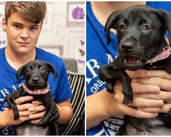 Unwanted Pup Born With 6 Legs Finds Home With A Bullied Teen Yearning For A Friend