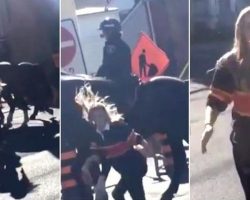 Woman Runs Up And Slaps Police Horse And Receives A Drop Kick In Return