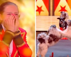 11-Year-Old Dog Trainer & Her 8 Dogs Win The Golden Buzzer