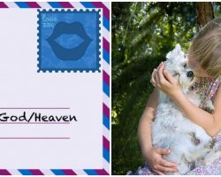 Girl Writes Letter To God So He Can Find Her Late Dog When She Arrives In Heaven