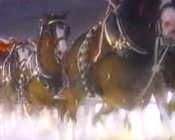 Budweiser Clydesdale Christmas TV Clip Puts Us All In The “Holiday Spirit”