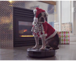 Dog In Santa Suit Takes A Ride On A Roomba For The Holiday Season