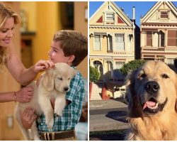 ‘Fuller House’ Cast Grieving After Dog Co-Star Cosmo Dies From Surgery Complications