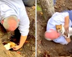 Missing Dog Was Stuck Down A Fox Hole For 3 Days, Dad Rescues Her & Breaks Down