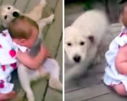 Mom Was “Warned” Not To Let Pup Near The Baby And She Did It Anyway