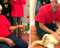 In A Twist, Kids Get Dad A Puppy Instead. Dad Can’t Handle It & Leaps Like A Kid