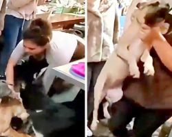 Pet Store Employee Grabs Dog By The Neck & Slams Her Hard On The Concrete Floor
