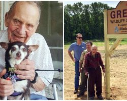 98-Year-Old Man Donates $2M Life Savings To Build 400-Acre Wildlife Sanctuary