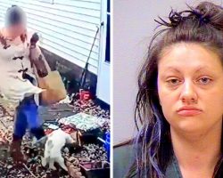 Vindictive Woman Kicks & Thrashes Friend’s Dog To Get Revenge, Assaults Owner Too