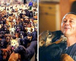 Man Rescues Over 1000 Abused & Homeless Dogs, Gives Them New Hope In Life Again